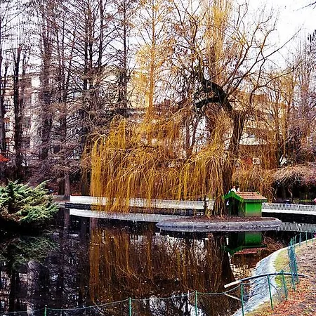Riverside Gem * Újvidék