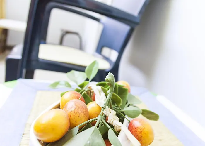 Riverside Gem Nowy Sad