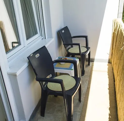 Riverside Gem * Nowy Sad