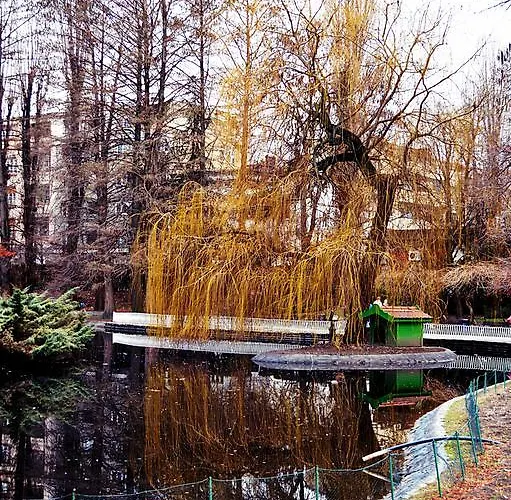 Riverside Gem * Nowy Sad