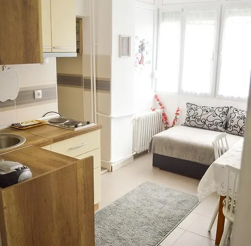 Riverside Gem Apartament Nowy Sad